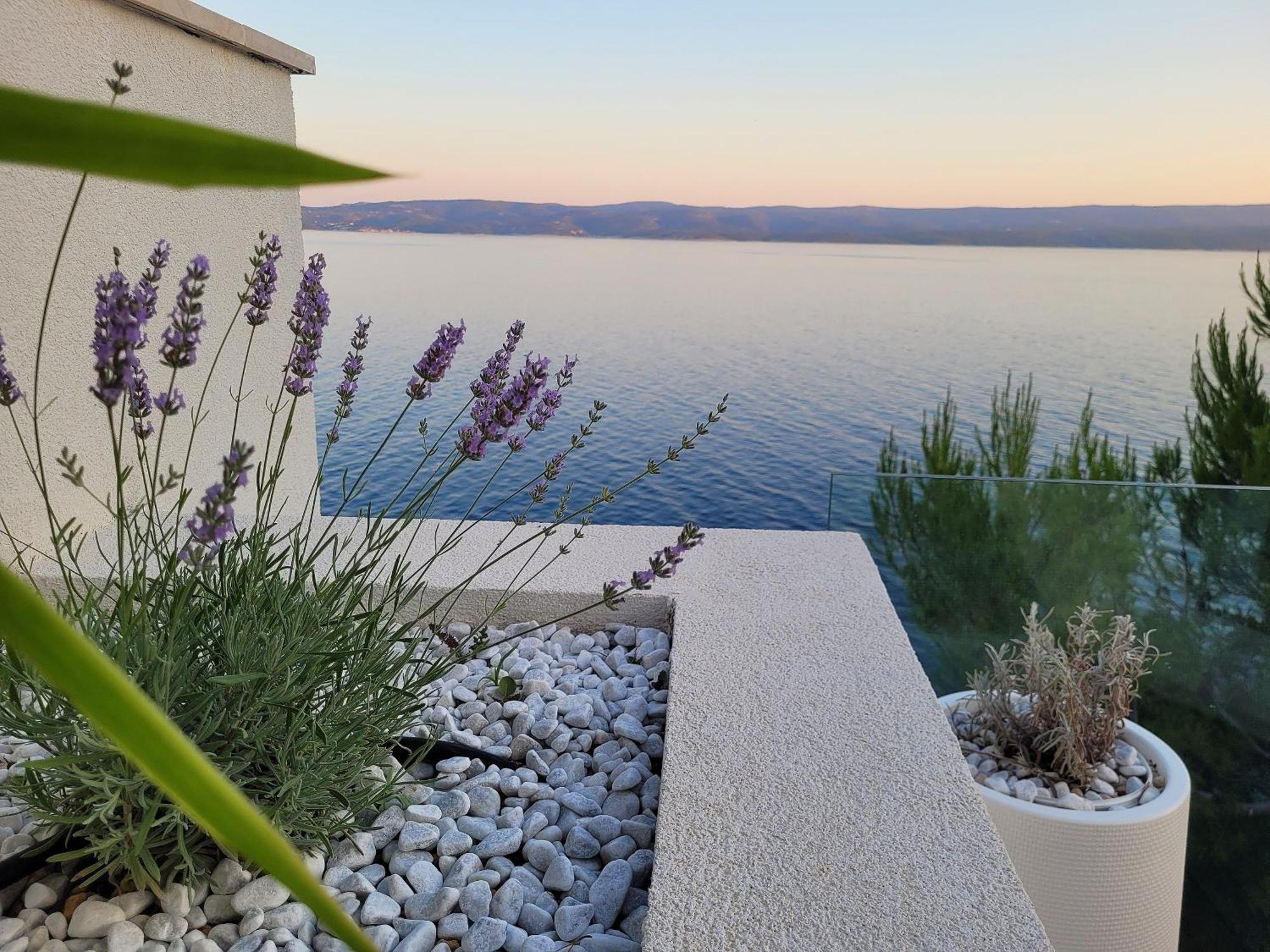 Luxury Apartments Villa Opera Marusici  외부 사진